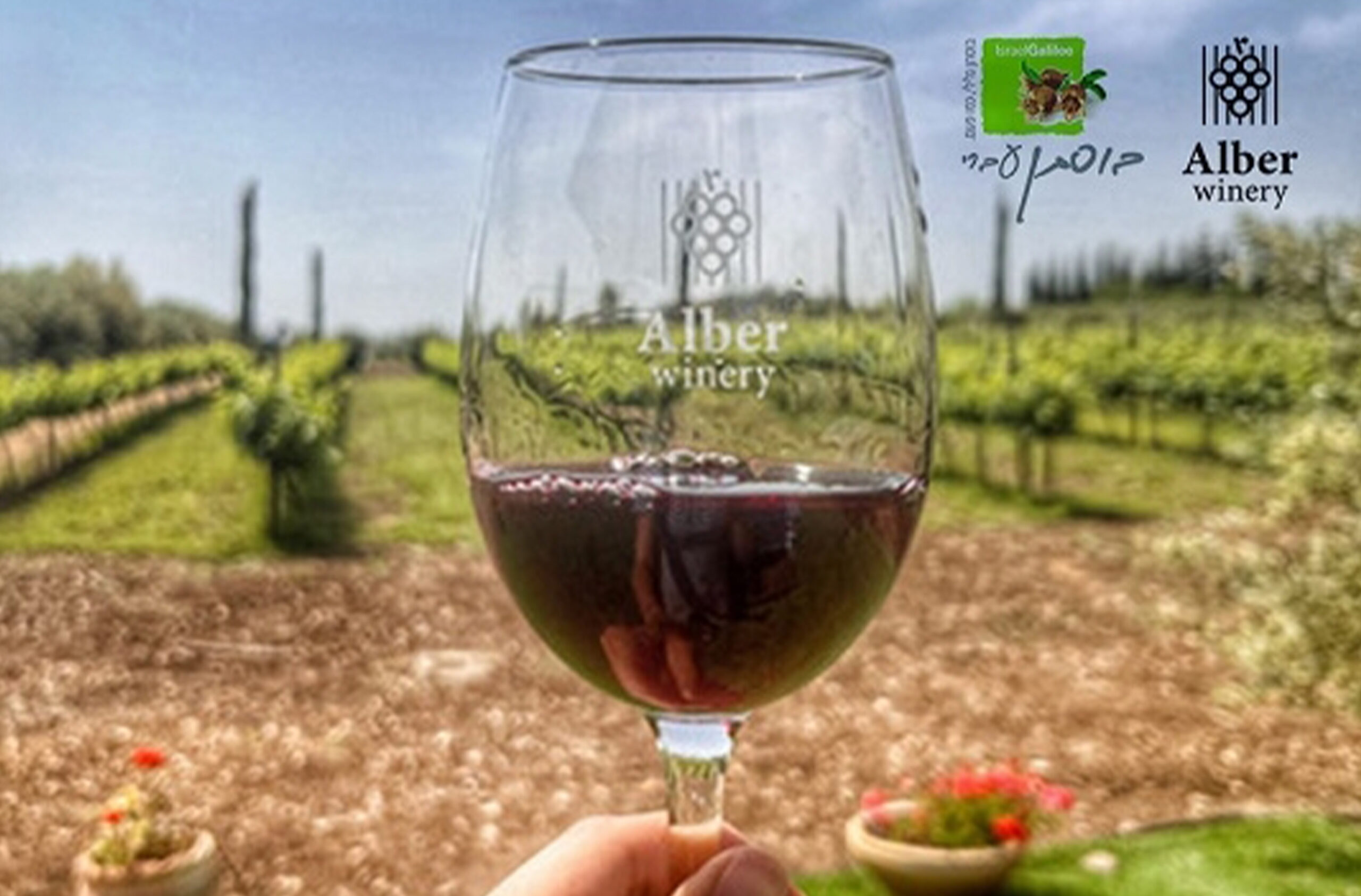 יקב אלבר פיקניק רומנטי ביקב אלבר ראש פינה – תמונה 1